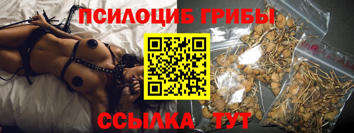 Псилоцибиновые грибы мухоморы Острогожск